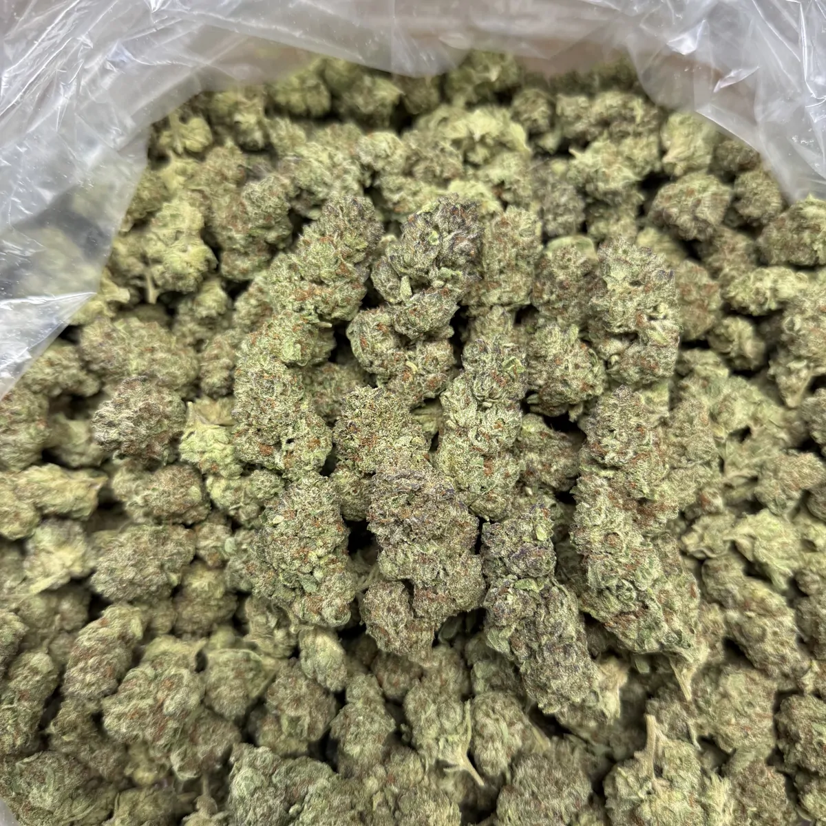 Sherblato Flower
